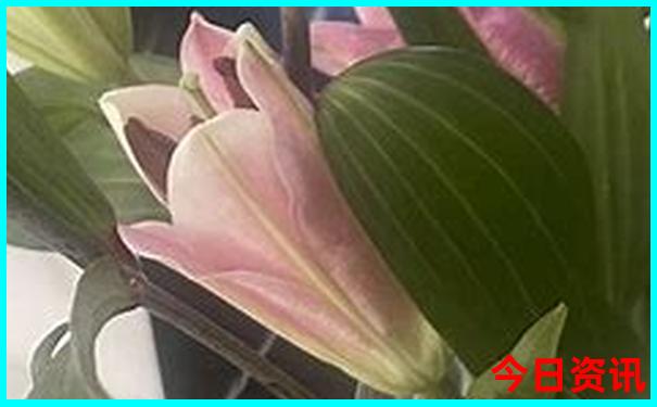 暑假带孩子出去玩哪里比较好